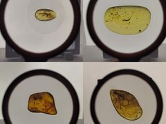 -广东省博物馆