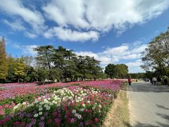 -上海滨江森林公园