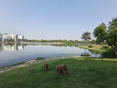 -美兰湖景区