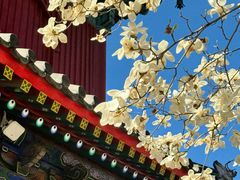 -北京艺术博物馆(万寿寺)
