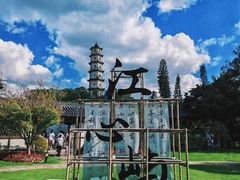 -江心屿景区