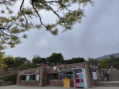 -北京西山国家森林公园