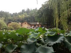 -韶山毛泽东同志故居