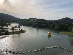 -上海佘山世茂艾美酒店