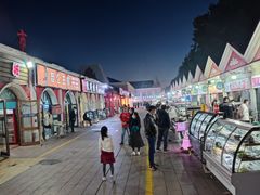 -布尔津河堤夜市