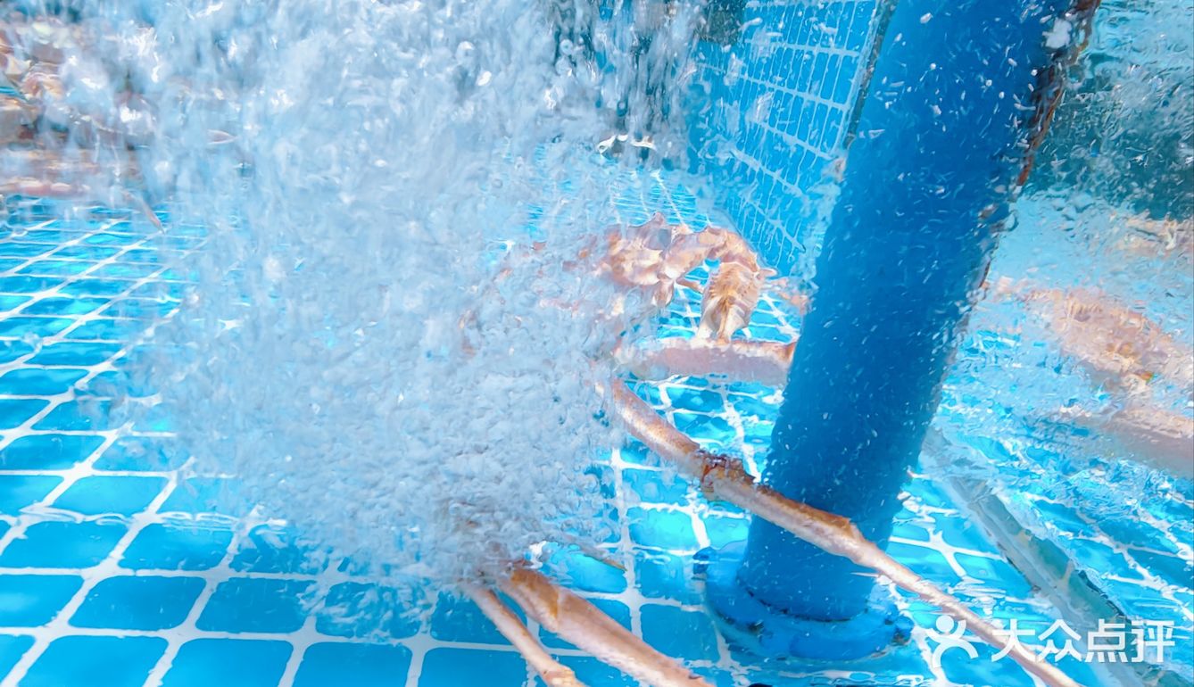 心意满满的暖心菜