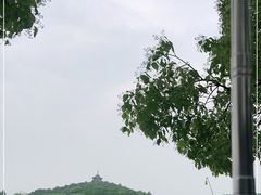 -西湖外事游船(花港观鱼码头)