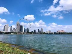 -新加坡泛太平洋酒店
