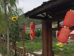 -黄花溪
