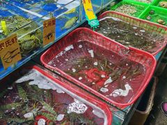 -都斛海鲜街