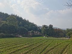 -韶山毛泽东同志故居