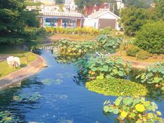 -国家植物园南园