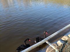 -春晖园度假酒店温泉