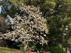 -虹迎轩·中餐厅(虹桥迎宾馆店)