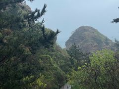 -棒棰岛宾馆景区