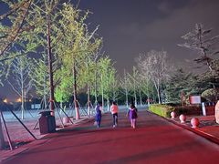 -北京园博大酒店