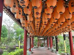 -佛山市三水温泉度假村