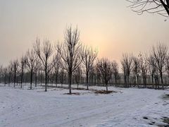 -水西公园