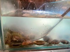 -海棠湾威斯汀酒店·知味西餐厅