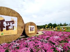 -嘉北郊野公园