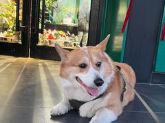 -METAL HANDS(五道营店)