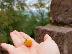 -金堂县云顶石城风景区