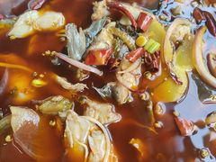 -重庆鱼美佳火锅(四川师大店)