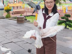 -中国翰园碑林