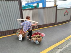 -白象居