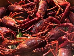 -琥珀老六龙虾(四里河店)
