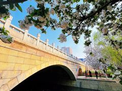 -海棠花溪(元大都城垣遗址公园)