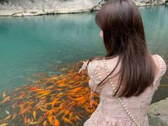 -楠溪江风景名胜区