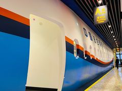 -法兰度航空主题餐厅(端州店)