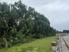 -溱湖国家湿地公园