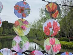 -上海鲜花港