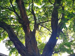 -白帝城·瞿塘峡景区