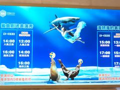 -成都浩海立方海洋公园