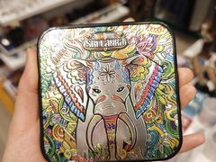 -班达拉奈克国际机场