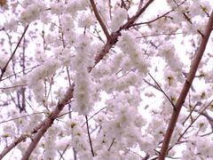 -圩墩遗址公园