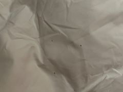 -上海外滩雅致酒店