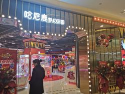 -哈尼鹿儿童乐园(长沙梅溪湖步步高店)