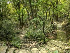 -杭州半山国家森林公园