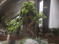-豫满楼(郑东新区店)