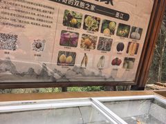 -墨江北回归线标志园
