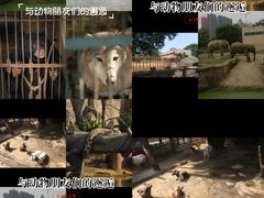 -南昌动物园