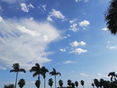 -蛙两只美蛙鱼头火锅(恒茂店)