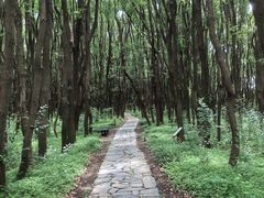 -同里国家湿地公园