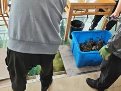 -品鲜村农家菜·阳澄湖大闸蟹(总店)