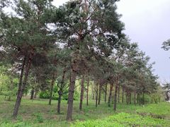 -长春市南湖公园