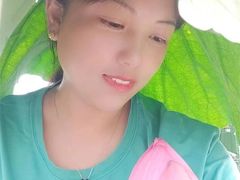 -白洋淀景区